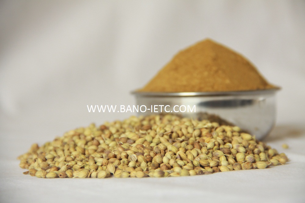 Coriander Powder